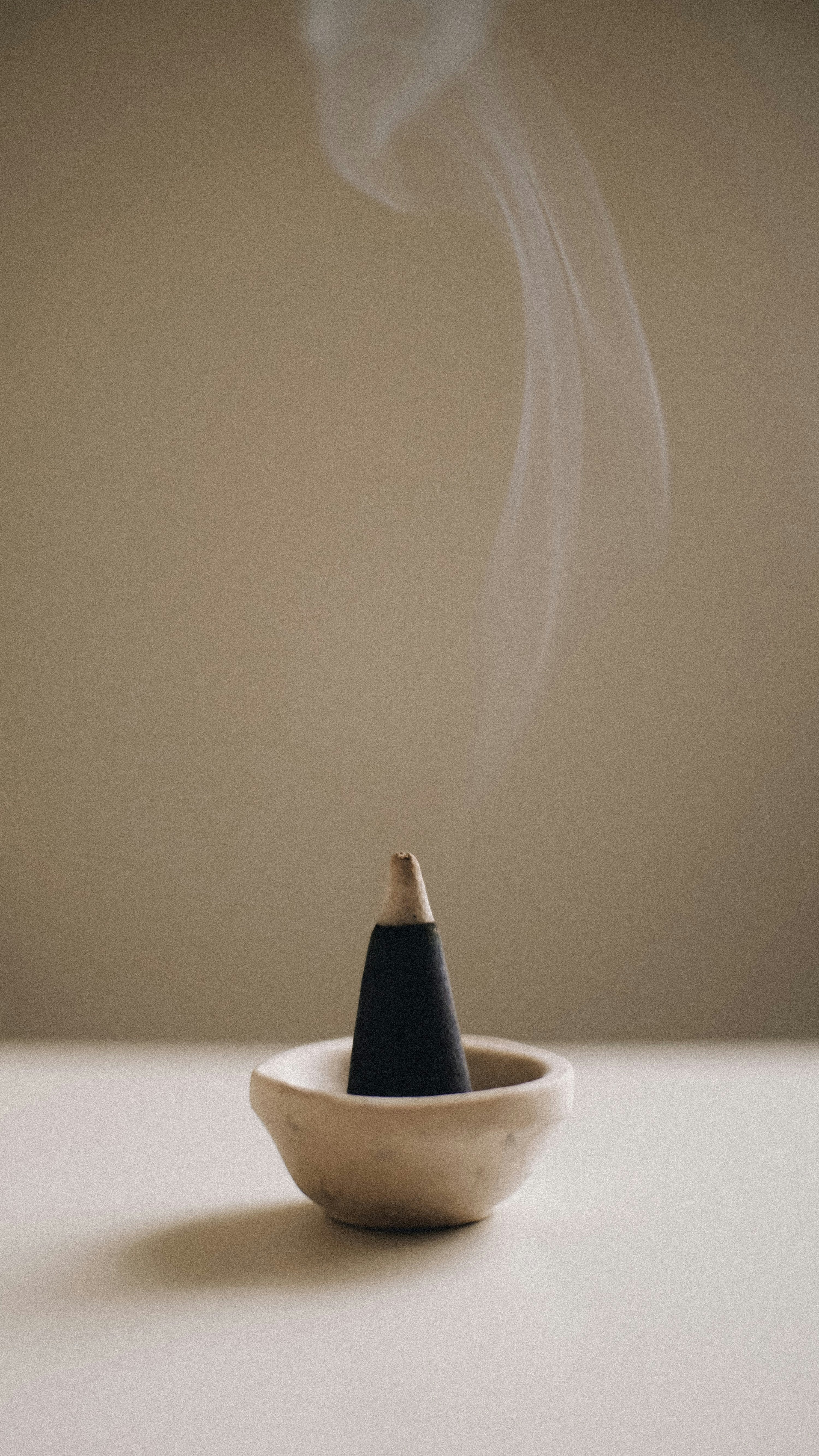 Saddle & Cardamom 12 oz scented candle | Shop Sand + Fog
