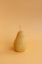 Harvest Pear 15.7 oz Liquid Hand Soap | Shop Sand + Fog