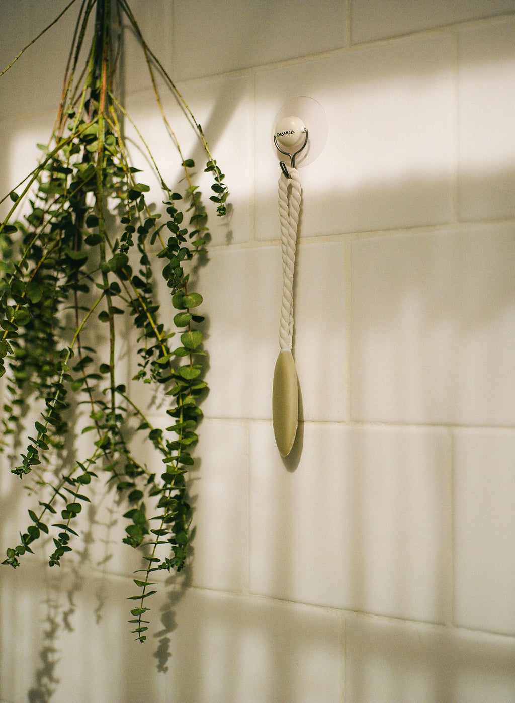 Spa Day 70 ml Eau de Toilette | Shop Sand + Fog