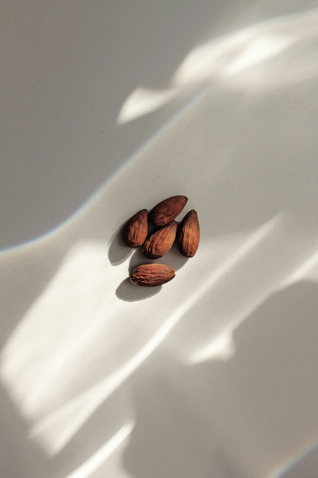 Vanilla Almond 50ml Perfume Oil Dropper | Shop Sand + Fog