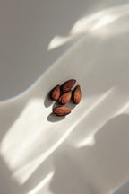 Vanilla Almond 50ml Perfume Oil Dropper | Shop Sand + Fog