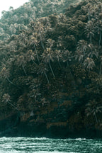 Midnight Tides 110 ml Reed Diffuser | Shop Sand + Fog